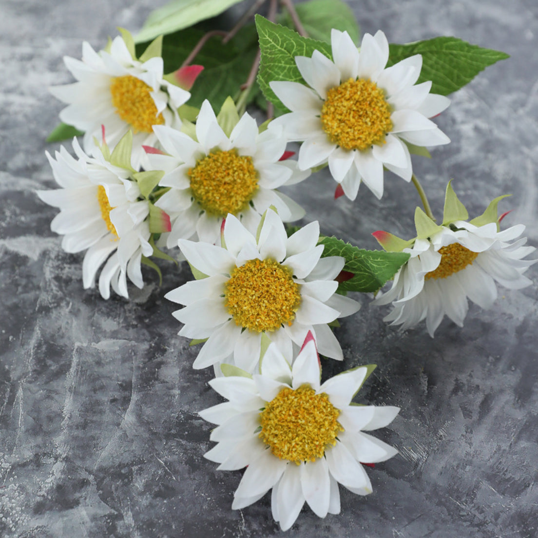 Colourful Sunflower Nestasia