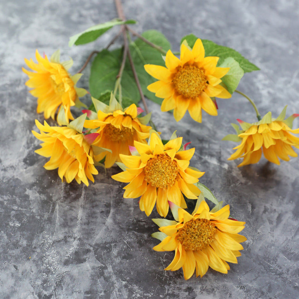 Colourful Sunflower Nestasia