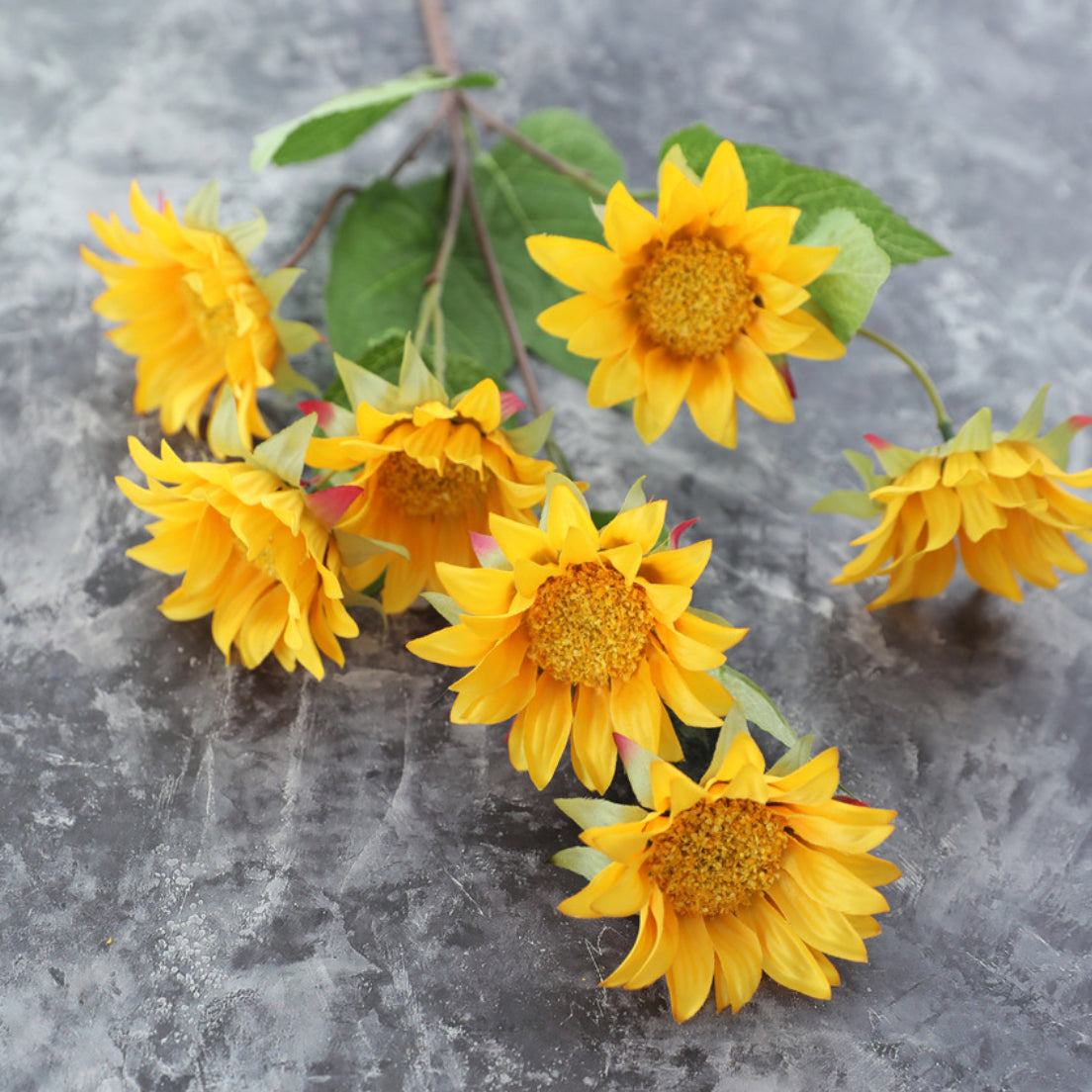 Colourful Sunflower Nestasia