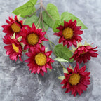 Colourful Sunflower Nestasia