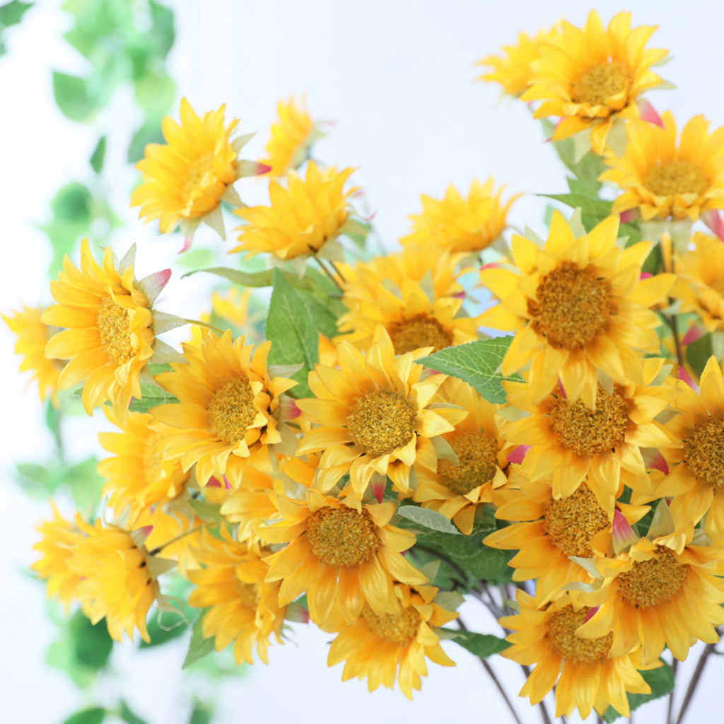 Colourful Sunflower Nestasia