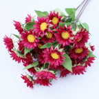 Colourful Sunflower Nestasia
