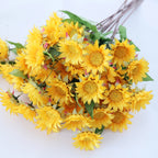 Colourful Sunflower Nestasia