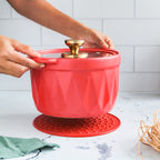 Cooking Pot with Lid Nestasia