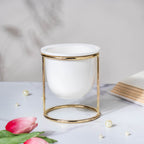 Botanica White Planter with Stand Nestasia