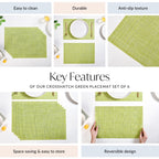 Crosshatch Green Placemat Set Of 6 Nestasia