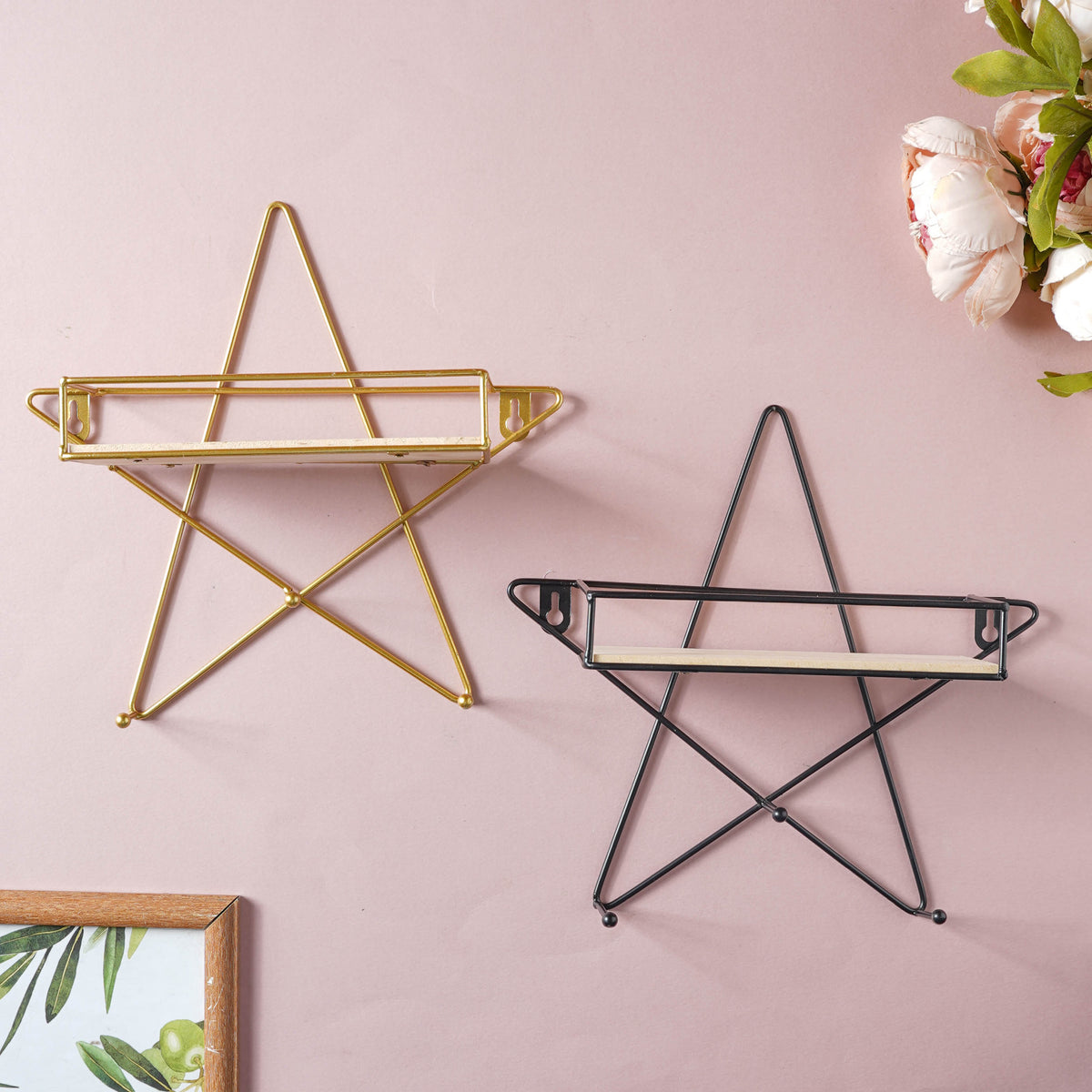 Star Shelf Nestasia