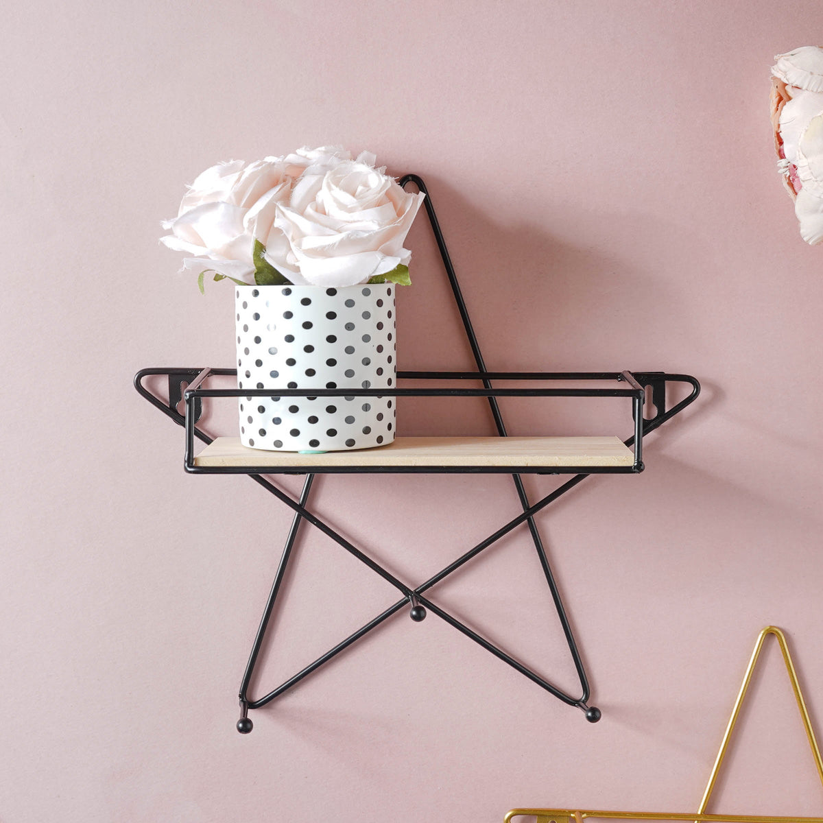 Star Shelf Nestasia
