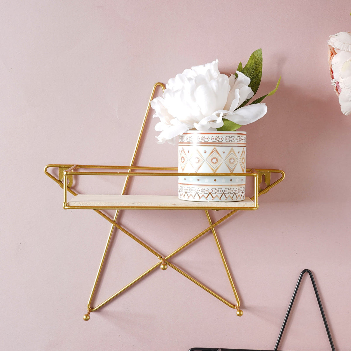 Star Shelf Nestasia