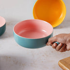 Bowl for Noodles Nestasia