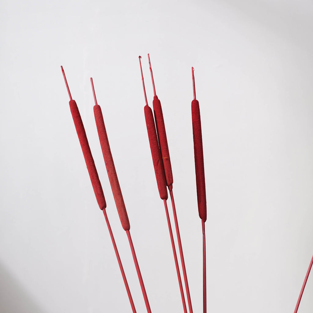 Cattail Stem Red Nestasia