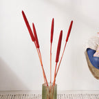 Millet Stem Red Nestasia