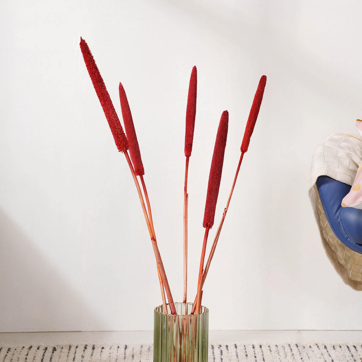 Millet Stem Red Nestasia
