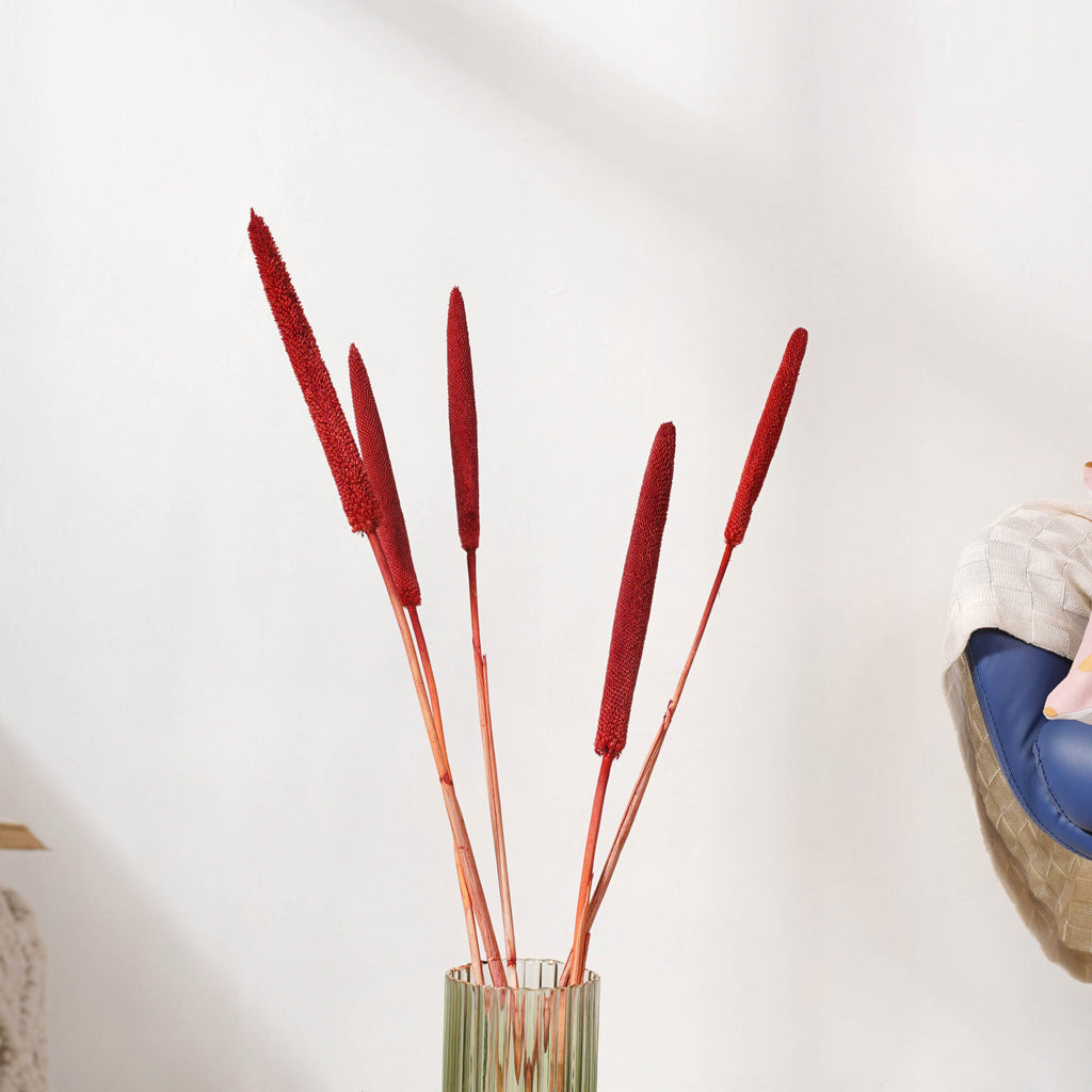 Millet Stem Red Nestasia