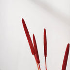 Millet Stem Red Nestasia