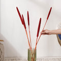 Millet Stem Red Nestasia