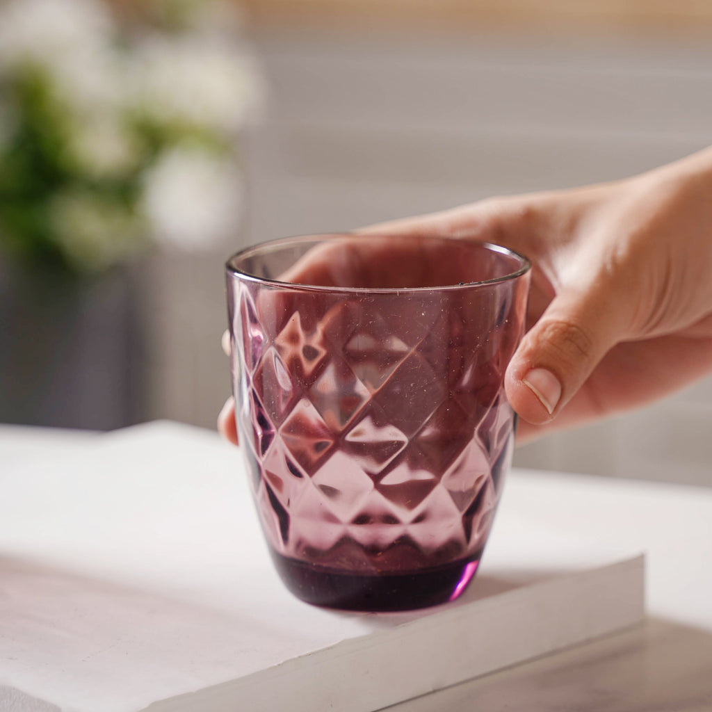 Crystal Glass Water Tumbler Set of 6 Nestasia