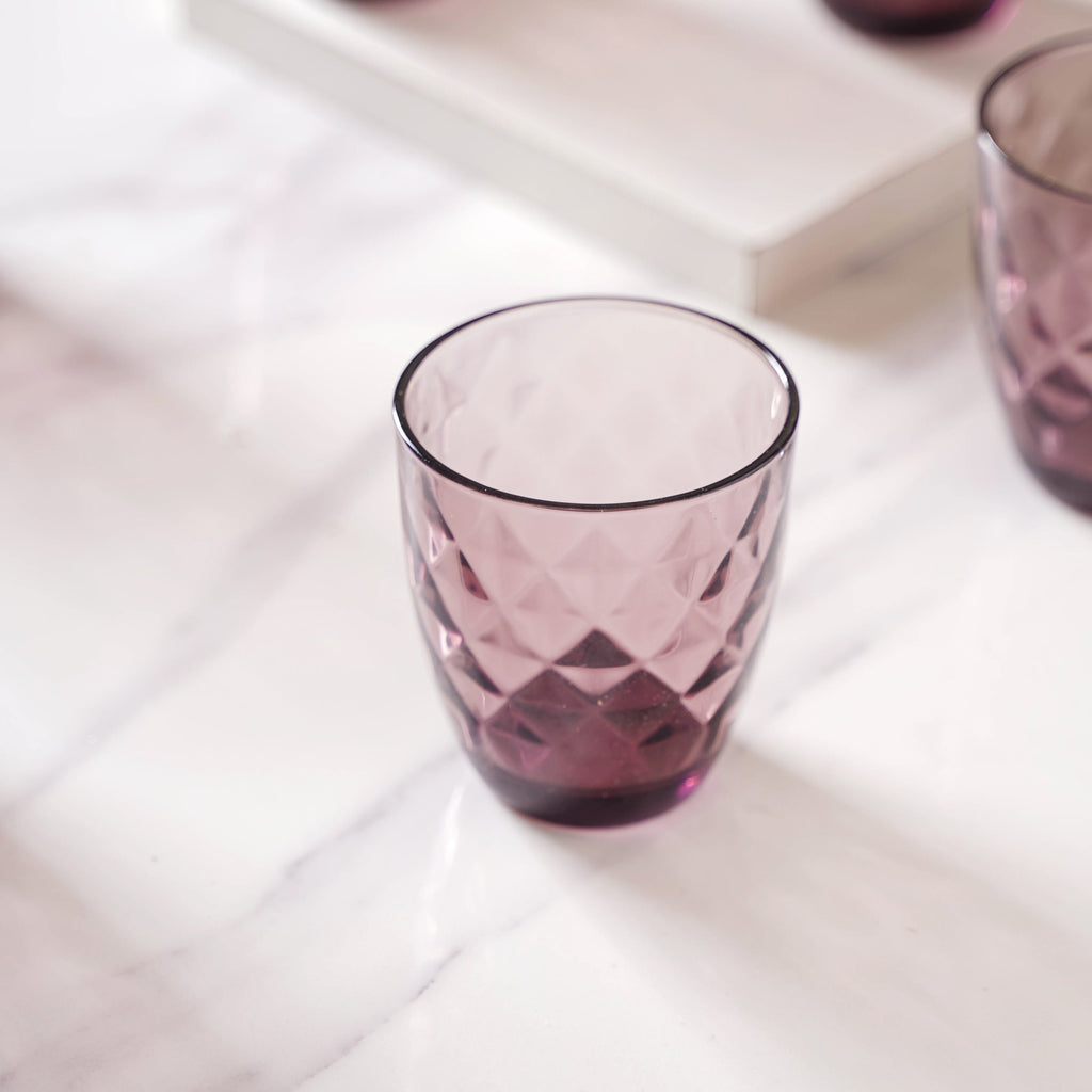 Crystal Glass Water Tumbler Set of 6 Nestasia