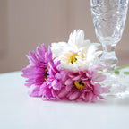 Spring Bloom Nestasia