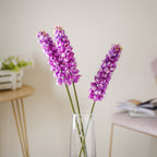 Hyacinth Stem Nestasia