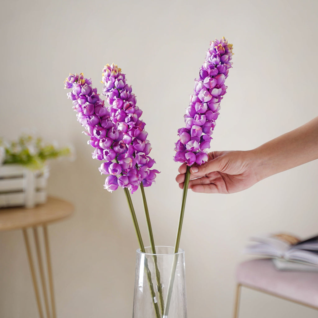 Hyacinth Stem Nestasia