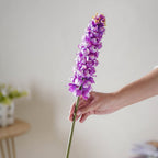 Hyacinth Stem Nestasia