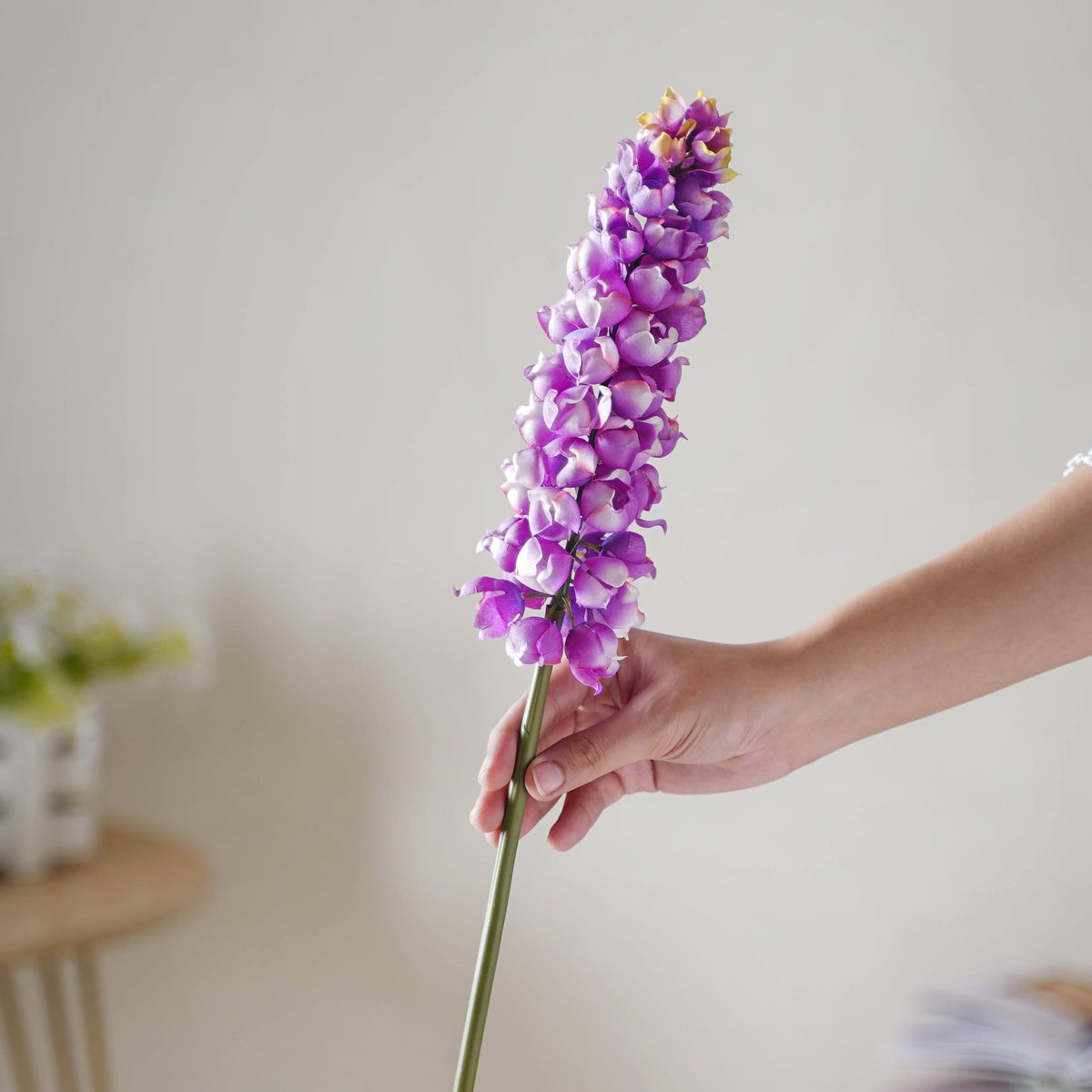 Hyacinth Stem Nestasia