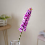 Hyacinth Stem Nestasia