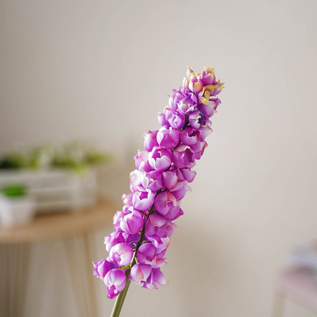 Hyacinth Stem Nestasia
