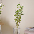 Leaves For Flower Arrangements Nestasia