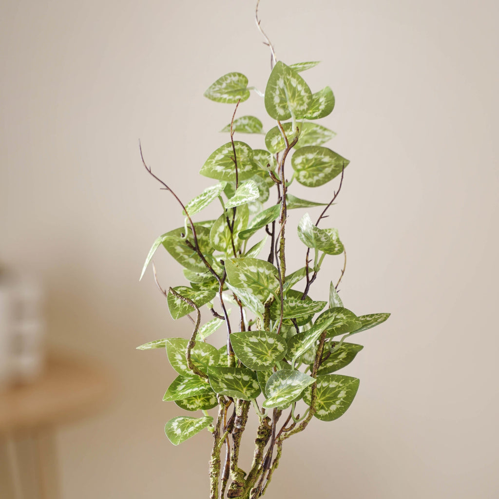 Leaves For Flower Arrangements Nestasia