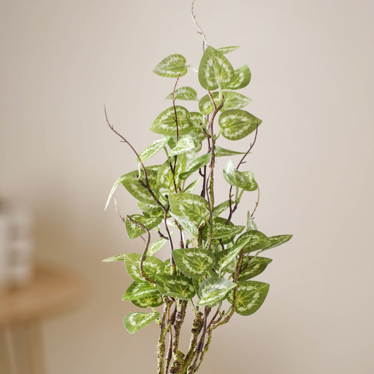 Leaves For Flower Arrangements Nestasia