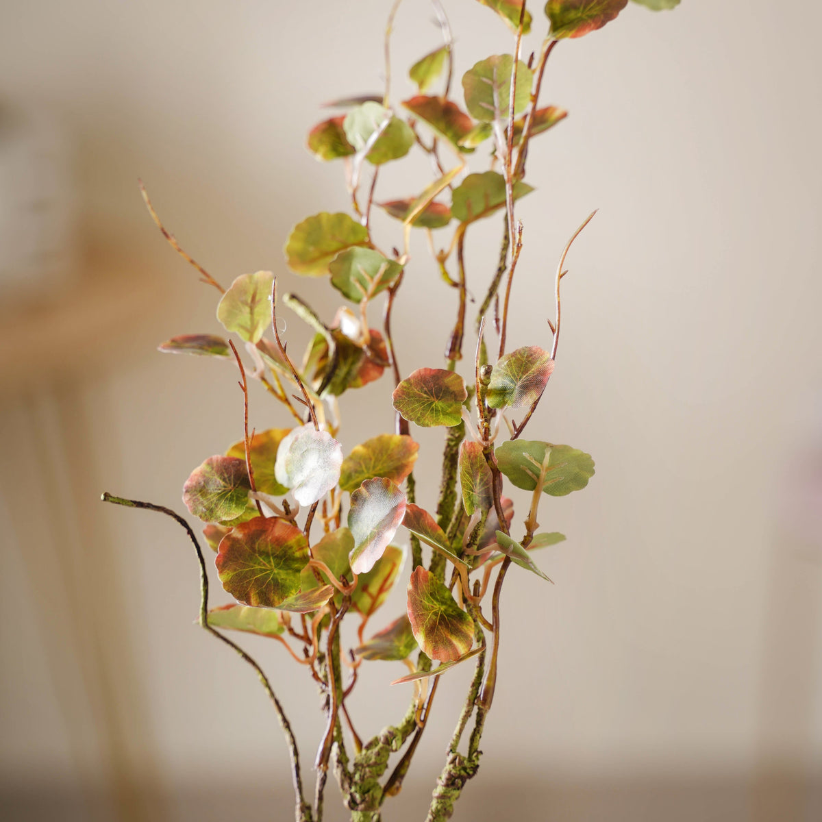 Leaves For Flower Arrangements Nestasia