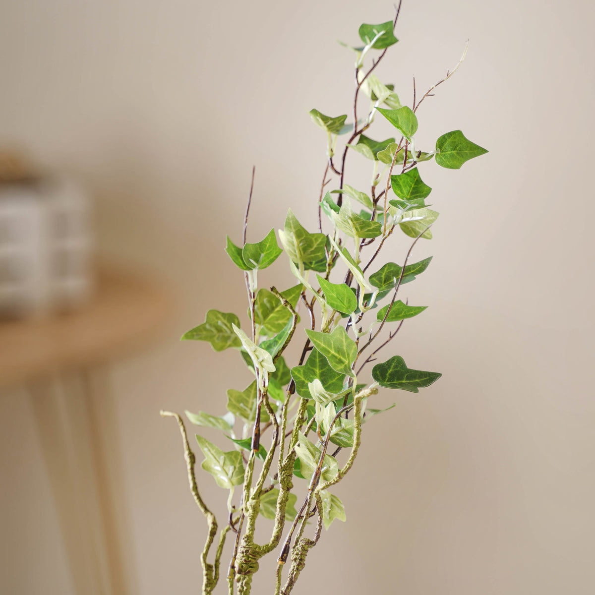Leaves For Flower Arrangements Nestasia