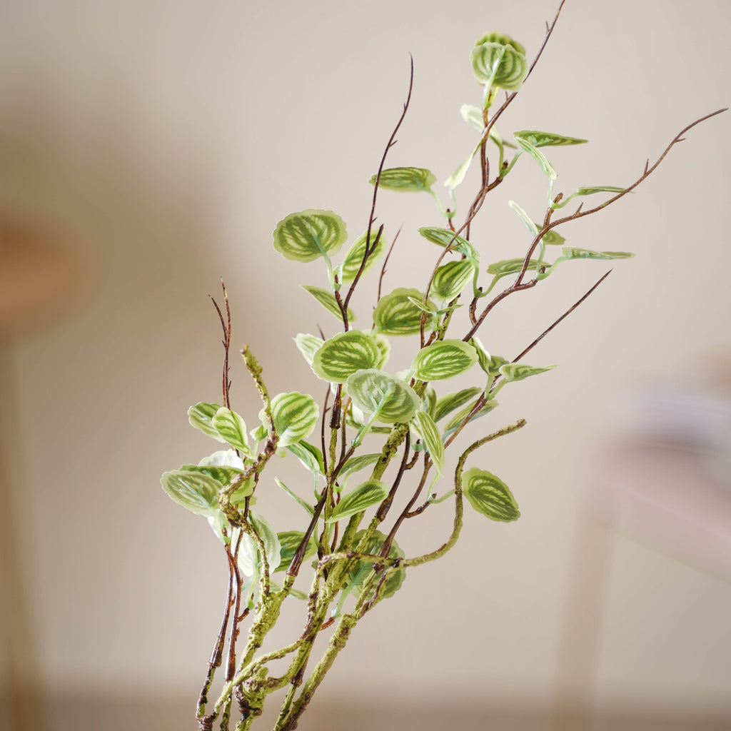 Leaves For Flower Arrangements Nestasia