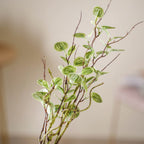Leaves For Flower Arrangements Nestasia