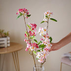 Begonia Flower Nestasia