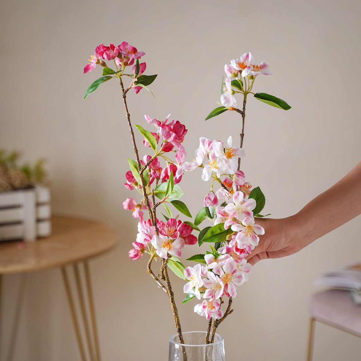 Begonia Flower Nestasia