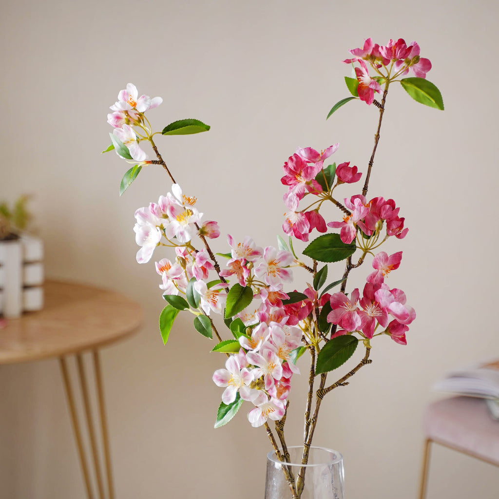 Begonia Flower Nestasia