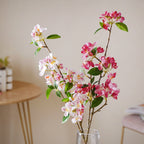 Begonia Flower Nestasia