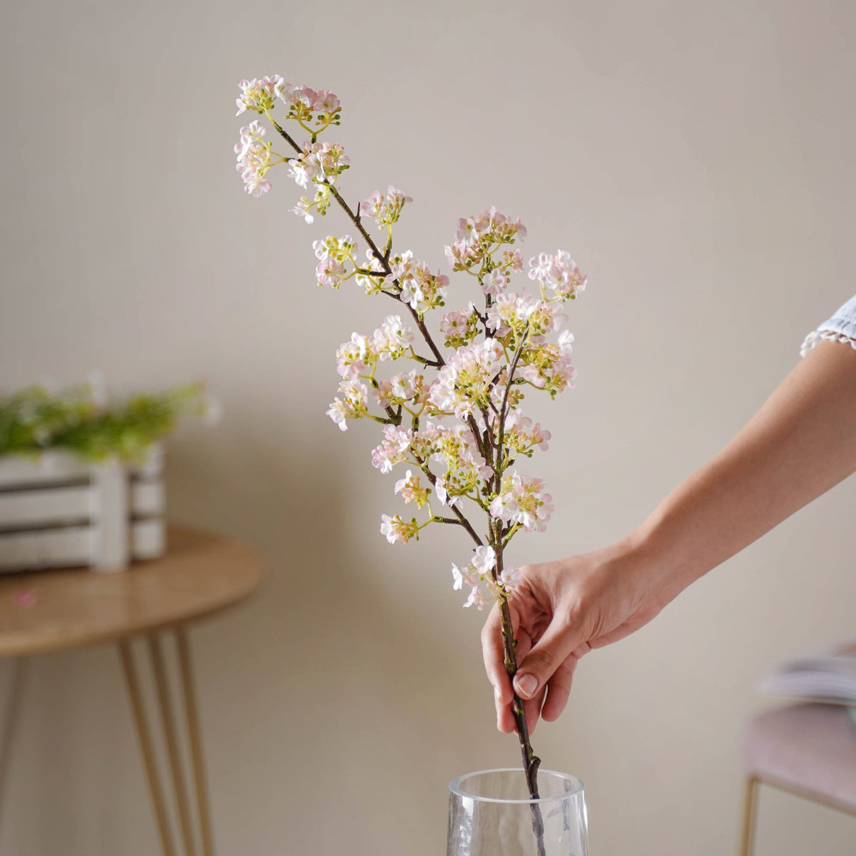 Pear Blossom Stem Nestasia