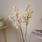 Pear Blossom Stem Nestasia