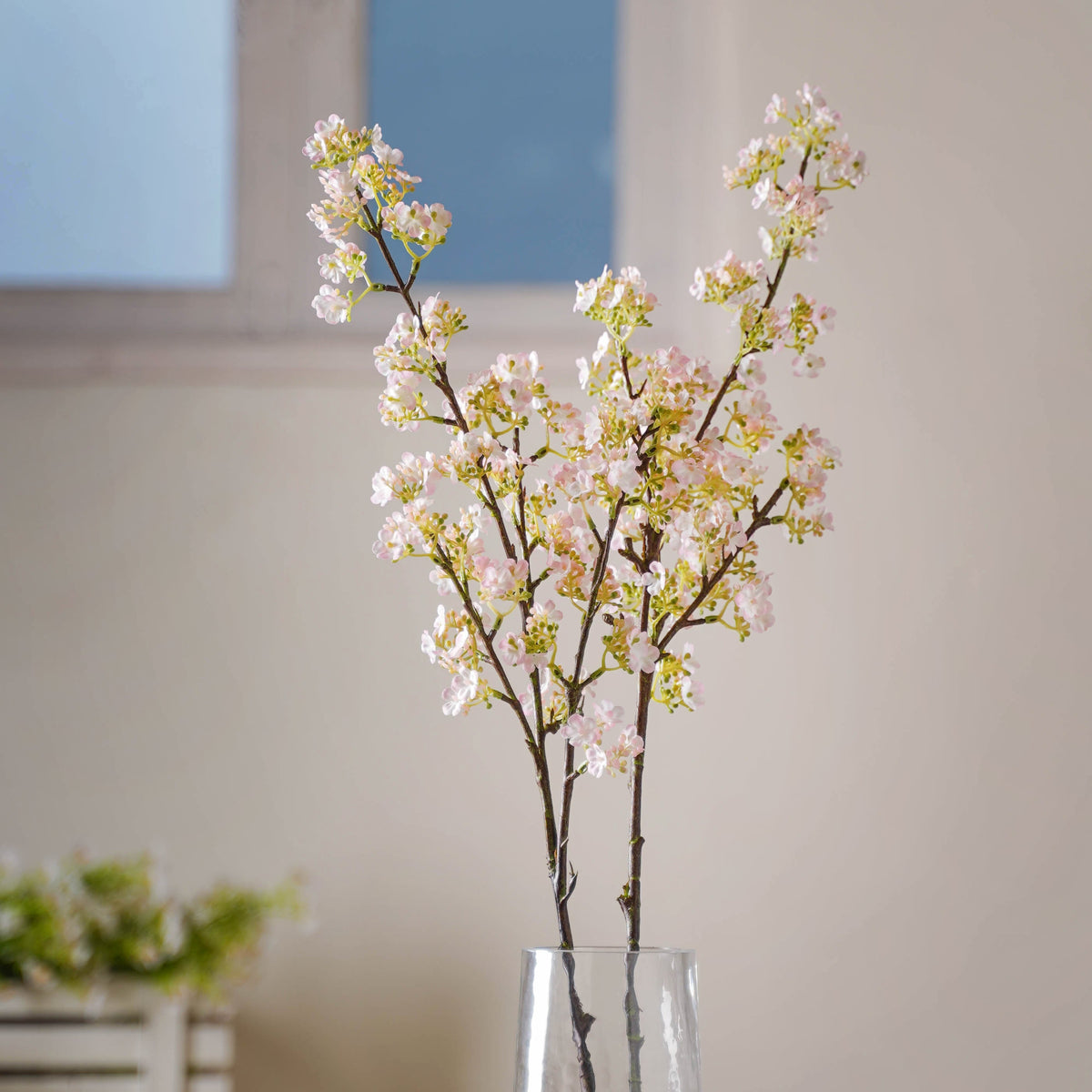 Pear Blossom Stem Nestasia