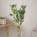 Tall Leaf Stem Nestasia