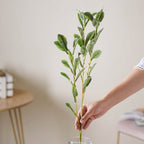 Tall Leaf Stem Nestasia