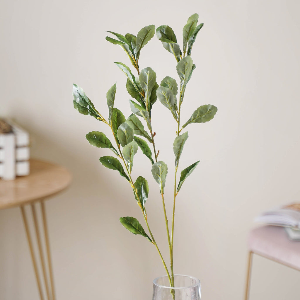 Tall Leaf Stem Nestasia