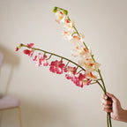 Floral Stem Nestasia