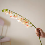 Floral Stem Nestasia