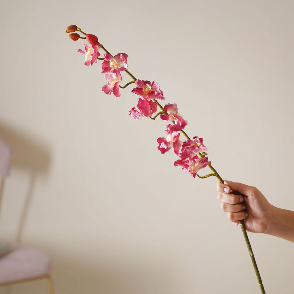 Floral Stem Nestasia