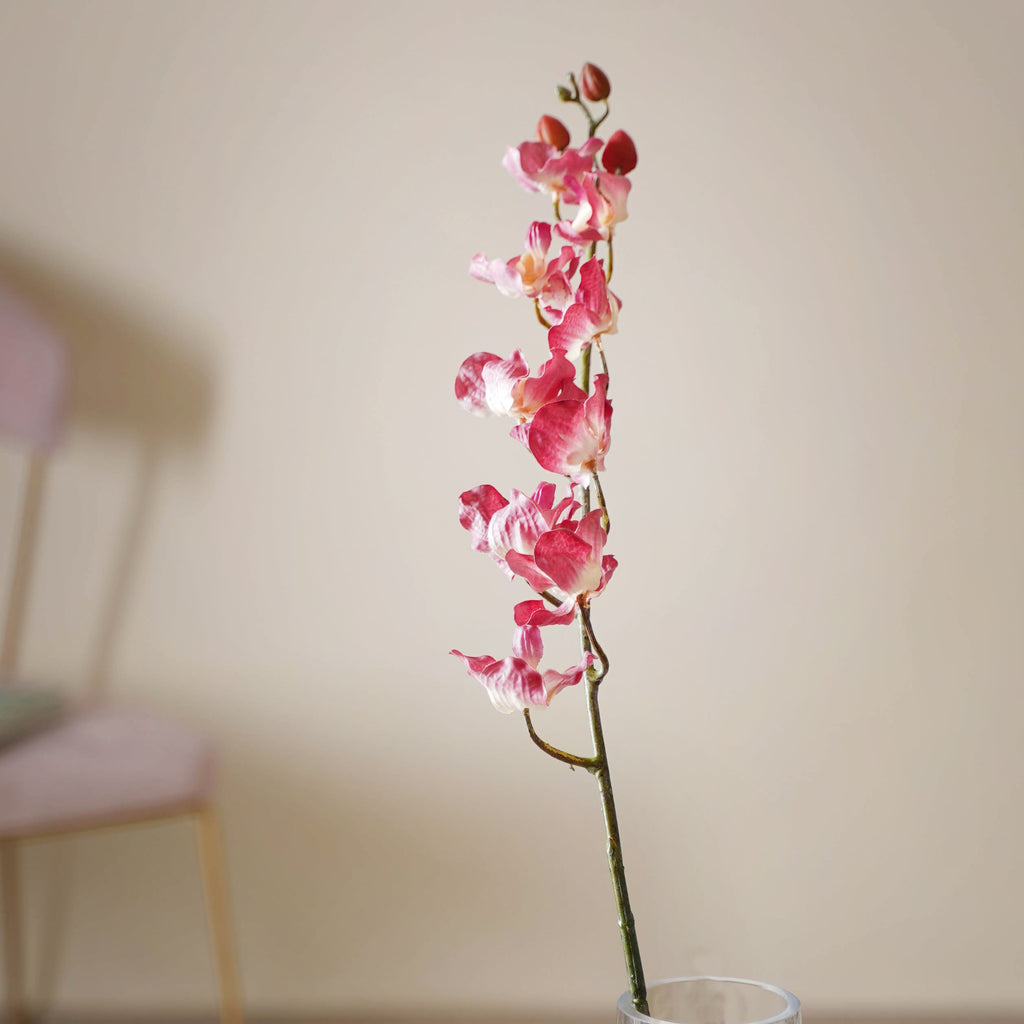 Floral Stem Nestasia